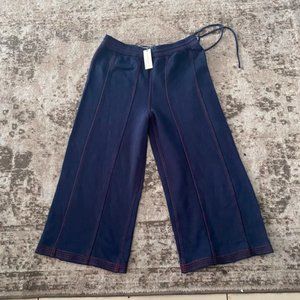 Anthropologie pant New